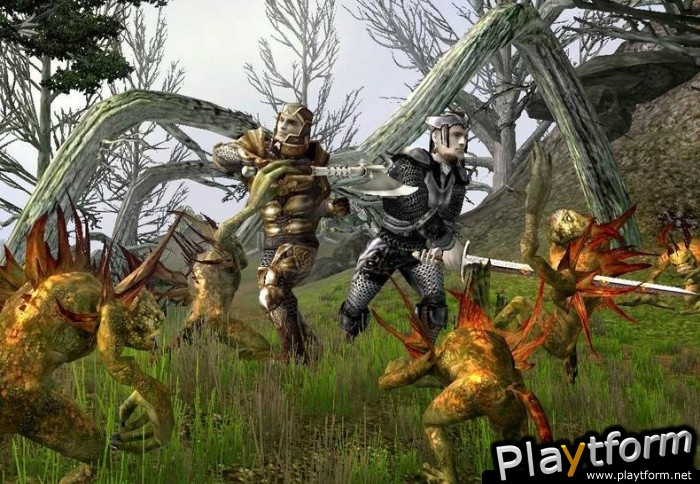 Ragneses Online (PC)