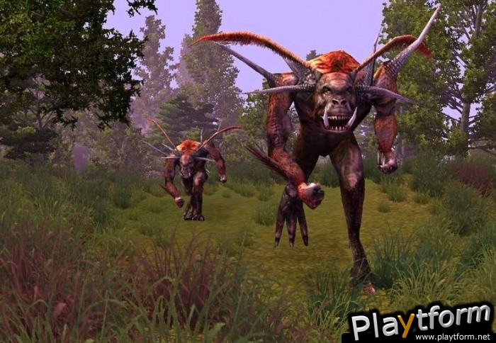 Ragneses Online (PC)