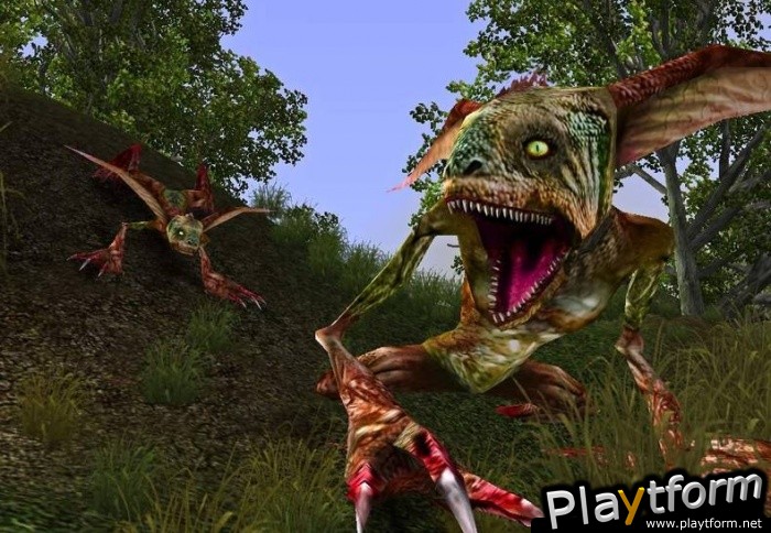 Ragneses Online (PC)