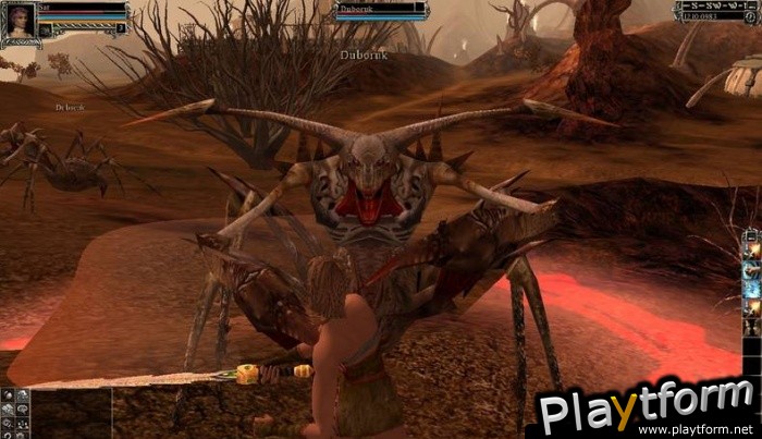 Ragneses Online (PC)