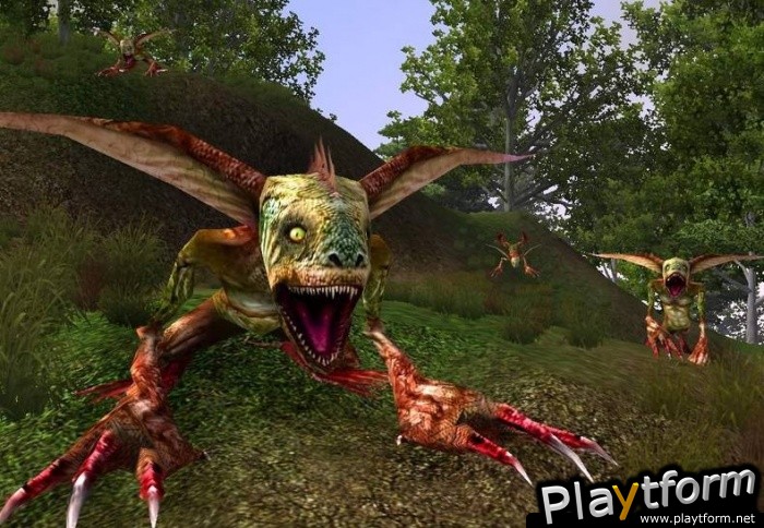 Ragneses Online (PC)