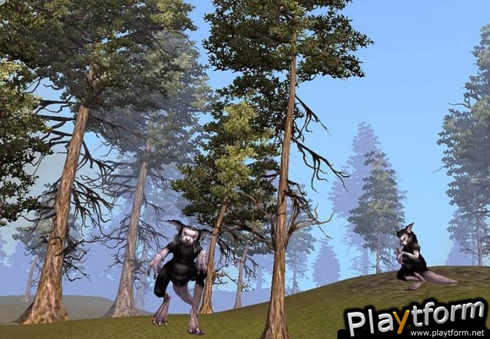 Ragneses Online (PC)