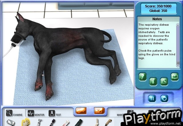 Imagine Pet Hospital (PC)