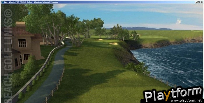 Tiger Woods PGA Tour Online (PC)
