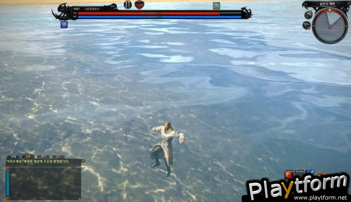 TERA: The Exiled Realm of Arborea (PC)