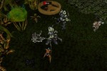 Exarch (PC)