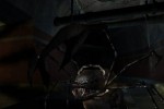 Hollow (PC)