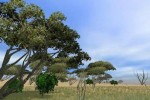 Poacher (PC)