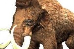 Wildlife Park: Wild Creatures (PC)