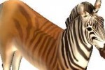 Wildlife Park: Wild Creatures (PC)