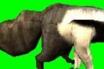 Wildlife Park: Wild Creatures (PC)