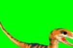 Wildlife Park: Wild Creatures (PC)