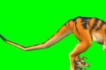 Wildlife Park: Wild Creatures (PC)