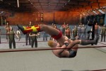Pro Wrestling X (PC)