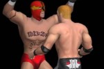 Pro Wrestling X (PC)