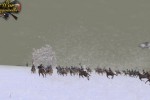 Histwar: Les Grognards (PC)