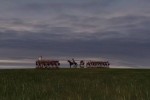 Histwar: Les Grognards (PC)