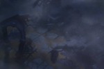 Diablo III (PC)