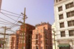 Wild Summer (PC)