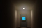 The Witness (PC)