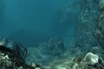 Underwater Wars (PC)