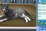 Imagine Pet Hospital (PC)