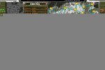 Close Combat: Wacht im Rhine (PC)