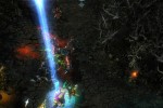 Heroes of Newerth (PC)