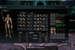 Land of Chaos Online (PC)