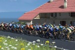 Pro Cycling Manager/Tour de France 2010 (PC)