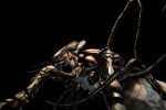 DIRT - Origin of the Species (PlayStation 2)