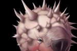 Dragon Tower (Mobile)