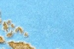 Swashbuckler (Mobile)