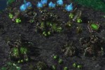 Starcraft II: Heart of the Swarm (PC)