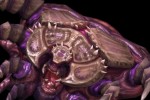 Starcraft II: Heart of the Swarm (PC)