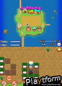 Harvest Moon DS: Sunshine Islands (DS)