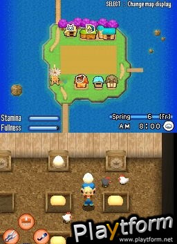 Harvest Moon DS: Sunshine Islands (DS)