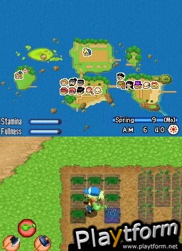 Harvest Moon DS: Sunshine Islands (DS)