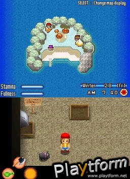 Harvest Moon DS: Sunshine Islands (DS)