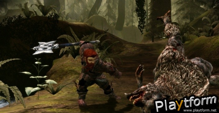 Dragon Age: Origins (PC)