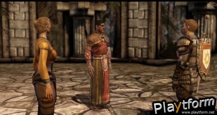 Dragon Age: Origins (PC)