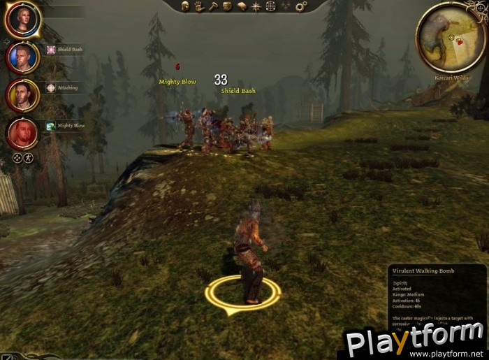 Dragon Age: Origins (PC)