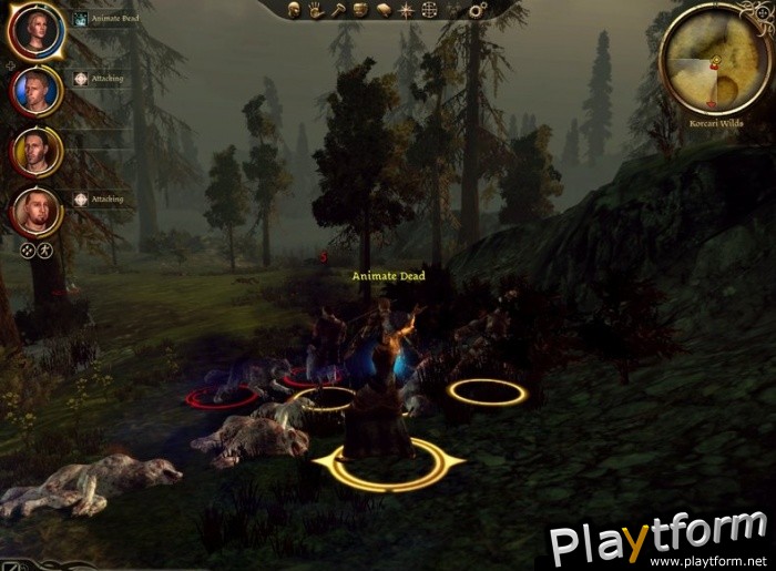 Dragon Age: Origins (PC)