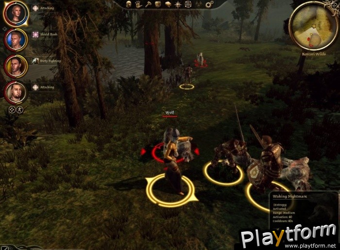 Dragon Age: Origins (PC)