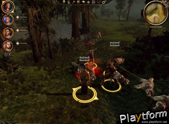 Dragon Age: Origins (PC)