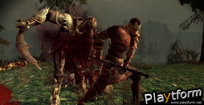 Dragon Age: Origins (PC)