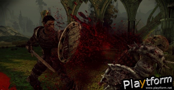 Dragon Age: Origins (PC)