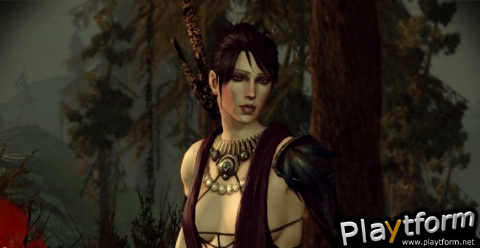 Dragon Age: Origins (PC)