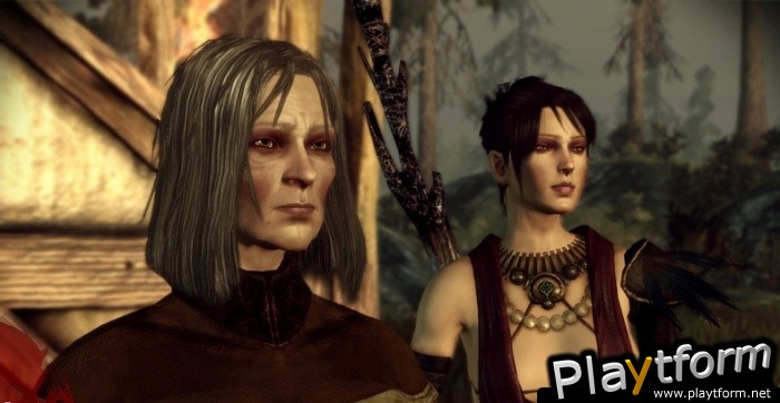 Dragon Age: Origins (PC)