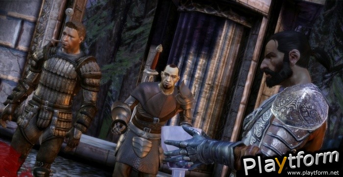 Dragon Age: Origins (PC)